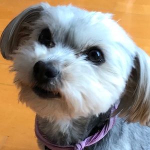 Meet your Posher, Emilie